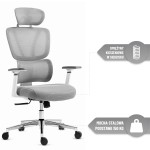 Fotel biurowy ergonomiczny obrotowy Hell's Chair HC- 1043 Szary Tkanina